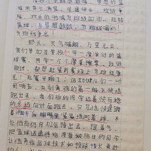 篮球训练法读后感500字